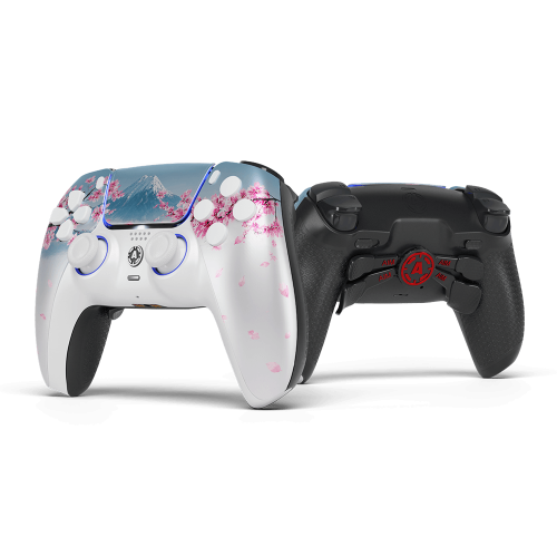 Fuji PS5 AIM Controller